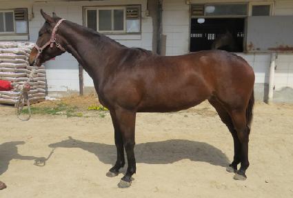 ��ٵ����� ����