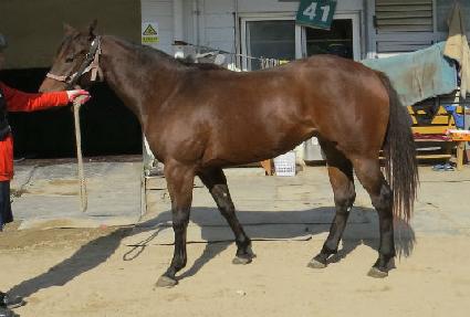 �ϱ�� ����