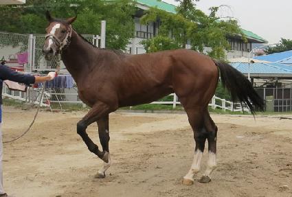 ưƮ�� ����