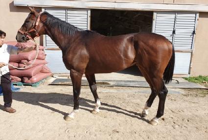 ����Ʈ���� ����