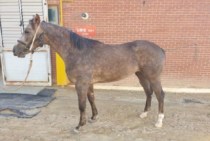 �ǽ���� ����