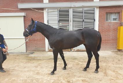 �Ŀ�Ǯ������ ����