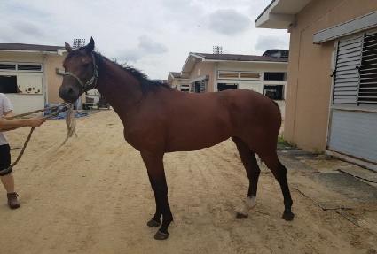 �ְ����̰� ����