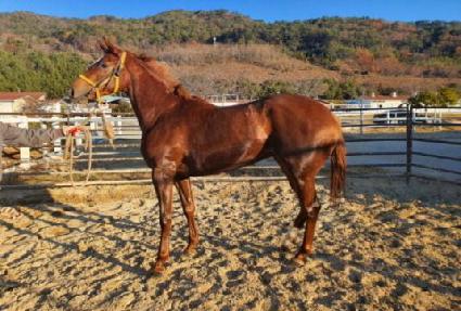 ����Ǯ���� ����