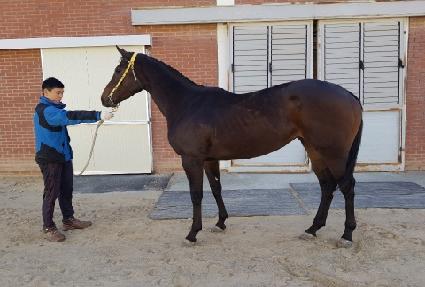 �׽�Ÿ�� ����