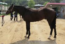 ���۷�Ű���� (SUPER LUCKY BOY) ����