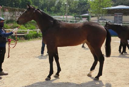 ����¡���丮 ����