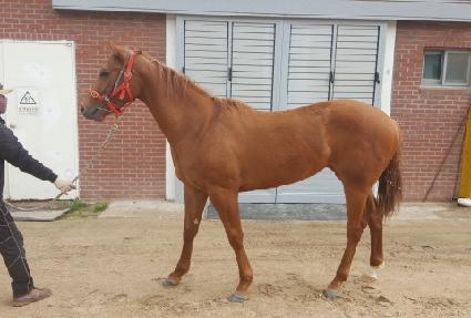 �ְ���ġ ����