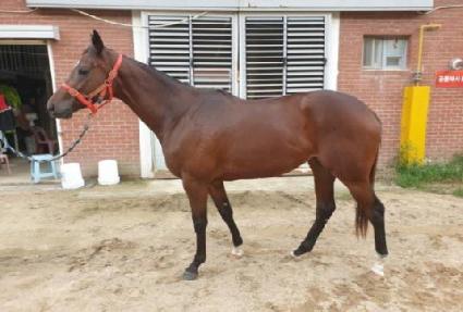 ���������ĵ� ����