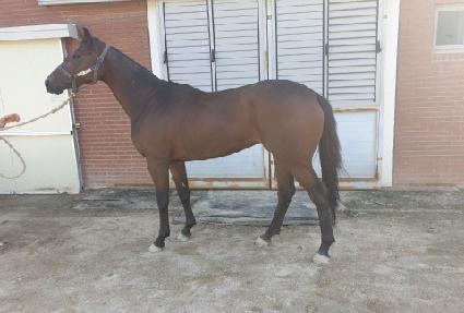 �������Ǻ��� ����