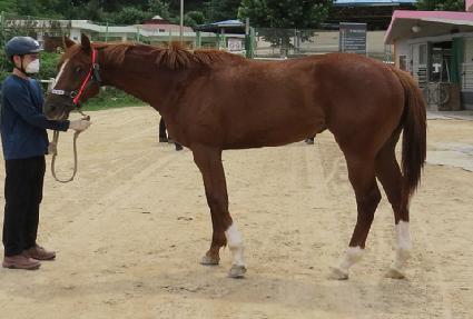 ������ ����