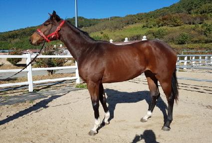 ���ڱ� ����