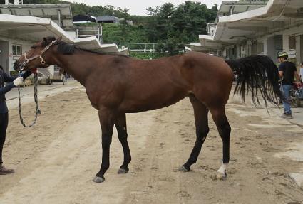 ���̸Ӵ� ����