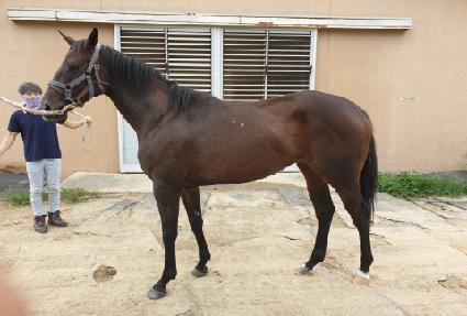 û����Ÿ ����