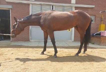 ���Ǻ�Ȱ ����