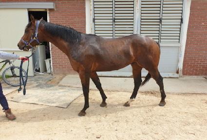 ��ũ��Ÿ ����