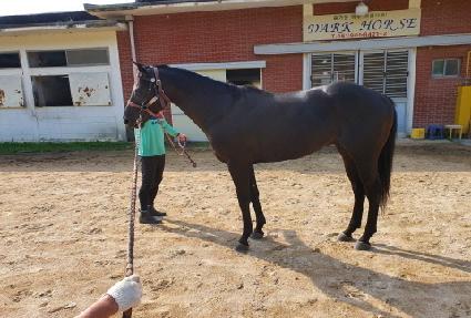 �������̱� ����