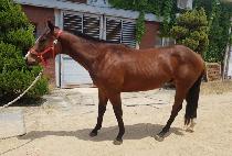 ������� (MUJIN DAERO) ����