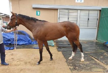 Ż������ ����