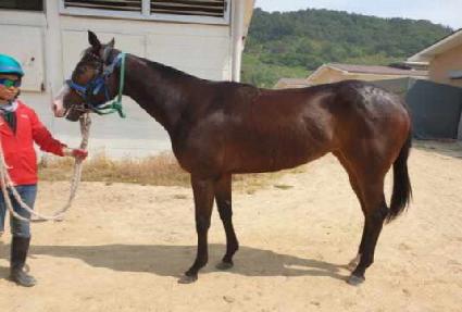 ��ũ���̽� ����