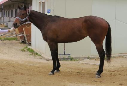 ������� ����