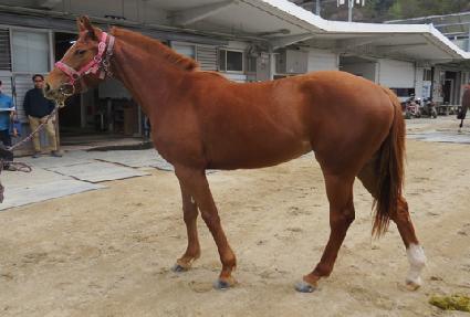 ����Ⱦ���� ����