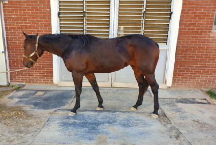 ��Ű���� ����