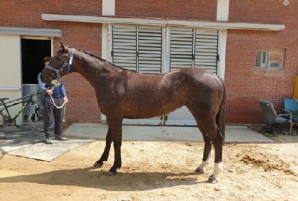 �ϳ���õ ����