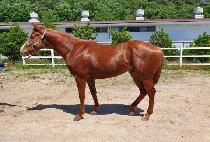 ���̳���Ÿ�� (DYNAMIC TOWN) ����