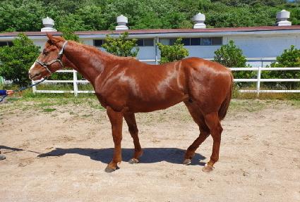 ���̳���Ÿ�� ����