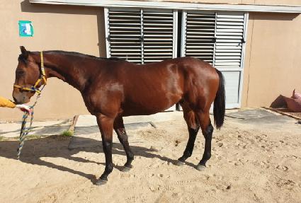 ���ŷ ����