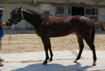 �����ǲ� (BAEKJEUI KKUM) ����