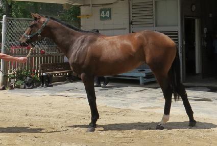 ���̿���Ǯ ����