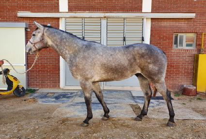 ŷ������ ����