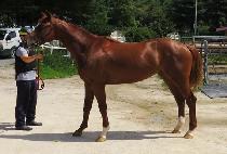 ���ֽ��� (YEONGJU STONE) ����