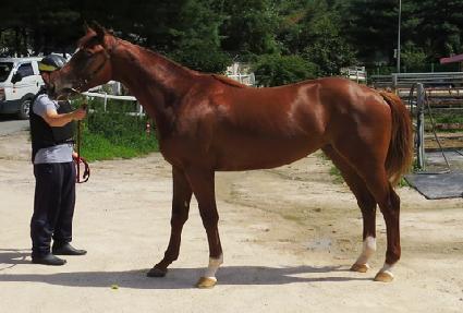 ���ֽ��� ����