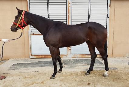 �������� ����