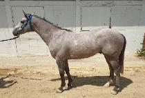 �ǿ�������� (MAN OF THE WORLD) ����