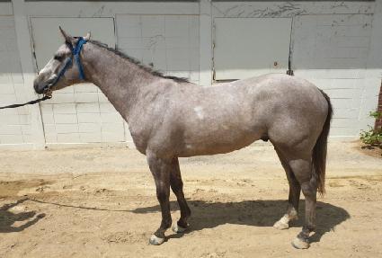 �ǿ�������� ����