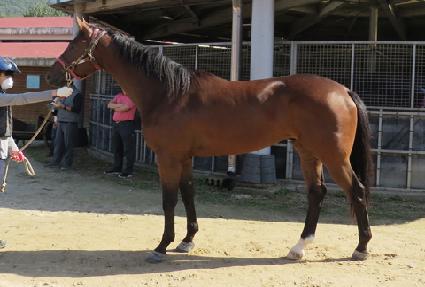 �������丮 ����