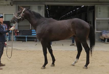 �������� ����