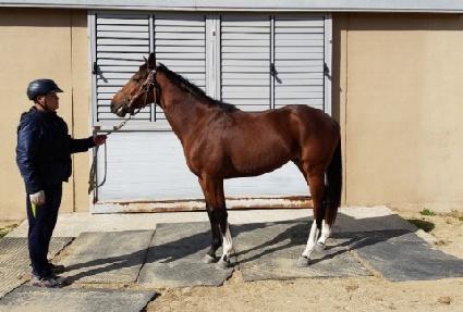 ������ ����