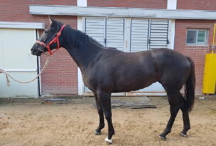 ���ް��� ����