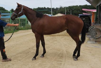 �������ö��� ����