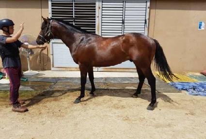 �¼��� ����