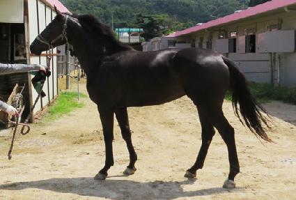 �Ķ���̽��� ����