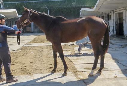 ���Ҹ� ����