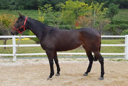 �����̽���� ����