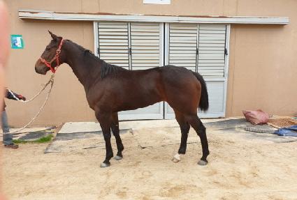 û������� ����