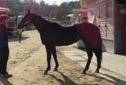 Ŀ�������� ����